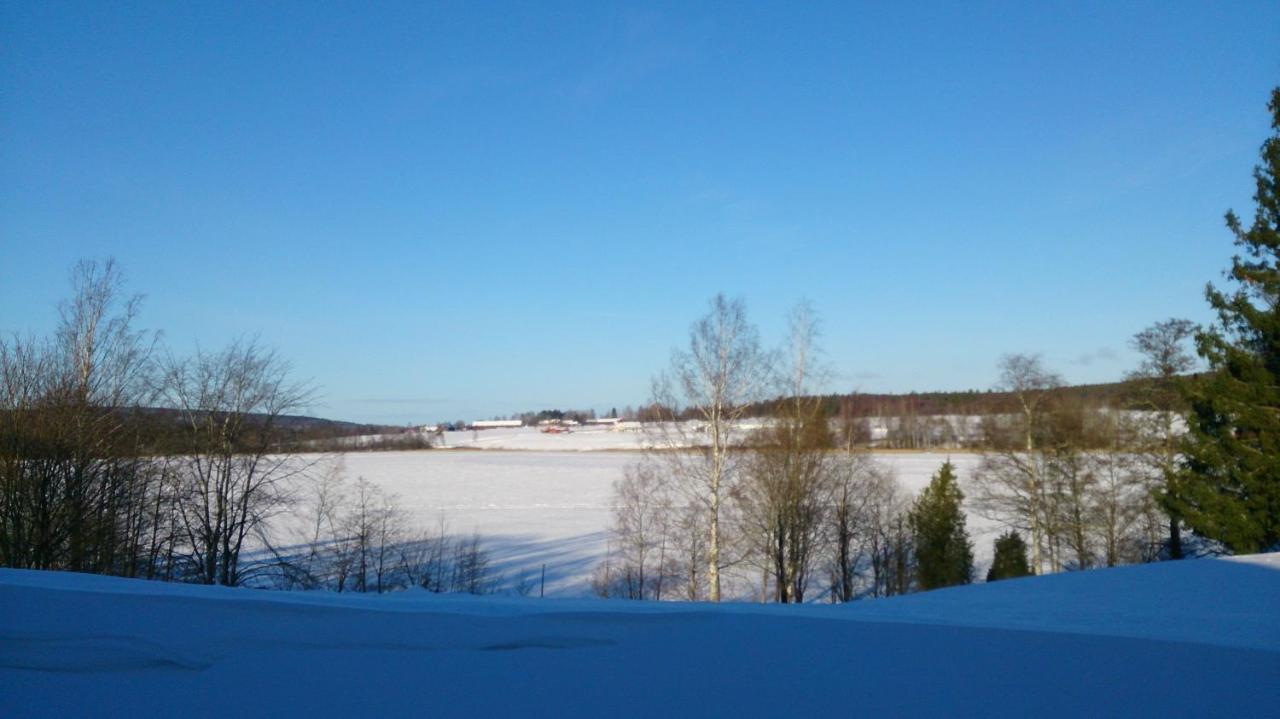 Hedemora Roeda Stugan מראה חיצוני תמונה
